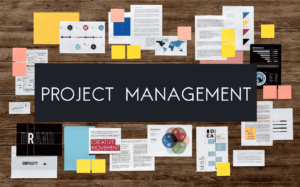 Project Management Consultancy