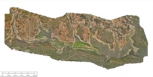 Bathymetric survey & LIDAR Survey
